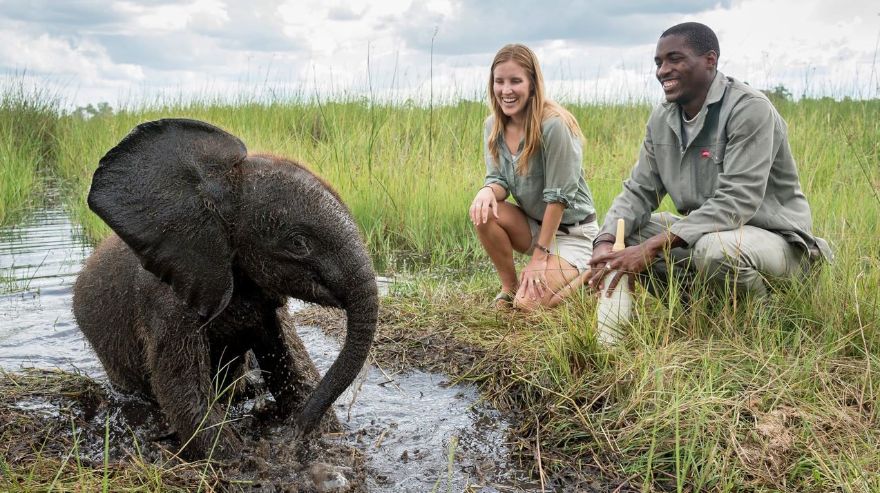 Experiencing Wildlife in Their Natural Habitats