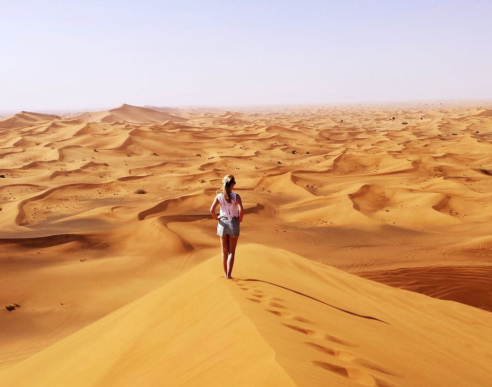 Journeys Through the Sands of Endless Horizons