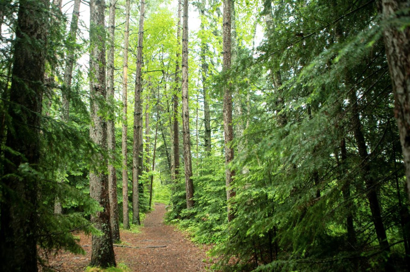 What Hikers Learn from the Trails They Walk