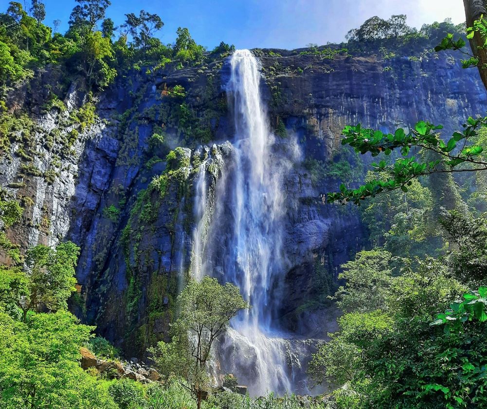 Into the Green Heart of the World